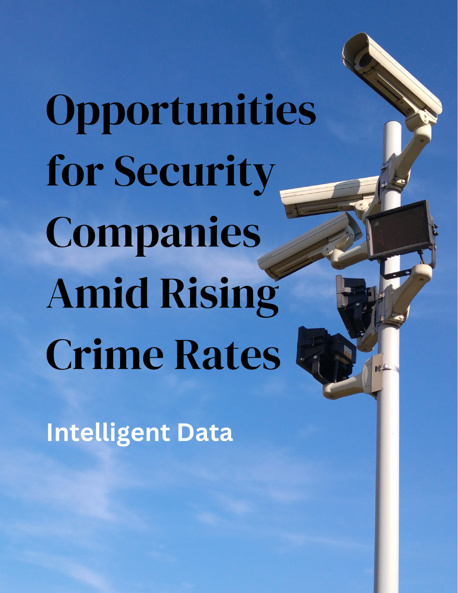 Opportunities amid rising Crime in South Africa