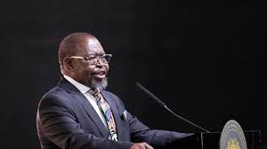 Reactions to the South African National Budget 2025